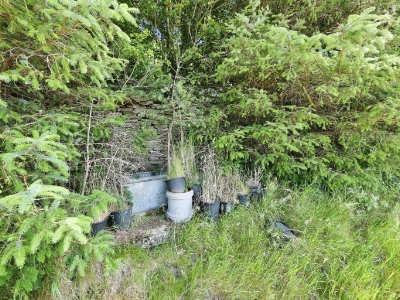 Picture 9